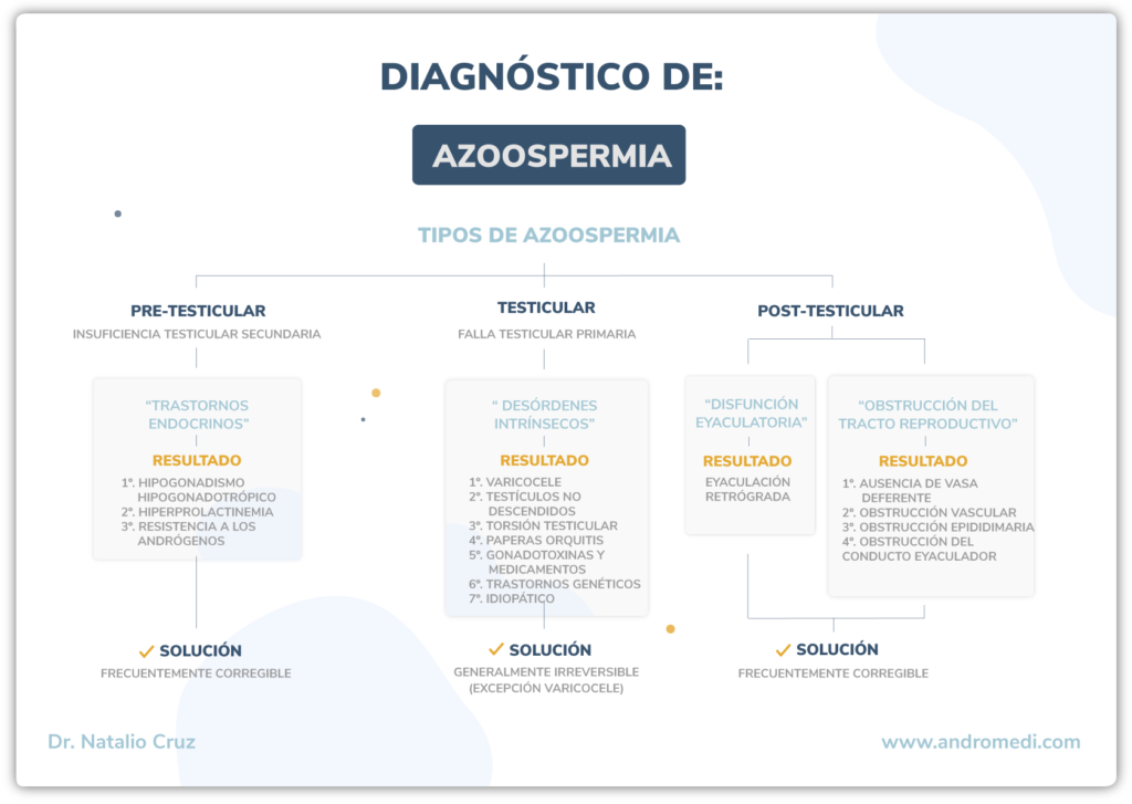 Infografia sobre el diagnostico de la azoospermia