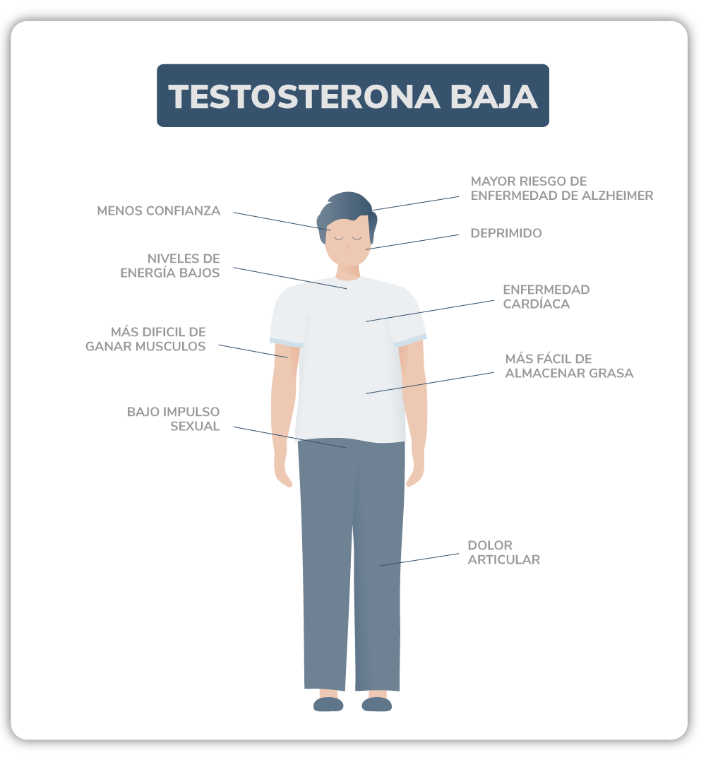 Diagrama de sintomas de testosterona baja