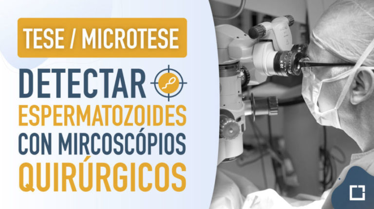 Detectar espermatozoides con microscópios quirúrgicos