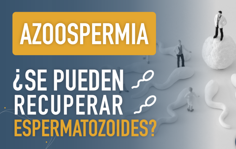 Azoospermia, ¿se pueden recuperar espermatozoides?