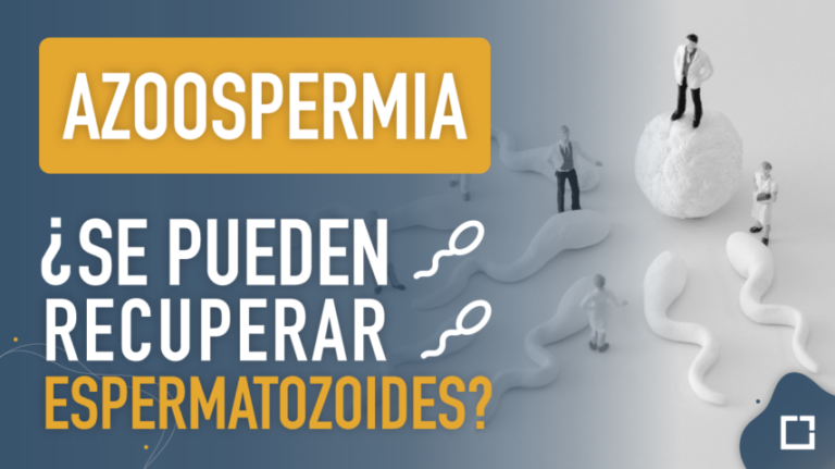 Azoospermia, ¿se pueden recuperar espermatozoides?