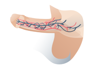 andromedi ondas de choque impotencia resultados 02 300x230