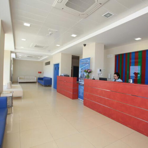 andromedi marbella costa del sol hospital ochoa recepcion